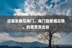 迟暮东南见海门，海门目断烟云暝。的意思及出处