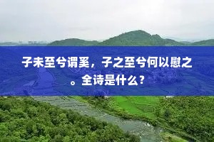 子未至兮谓奚，子之至兮何以慰之。全诗是什么？