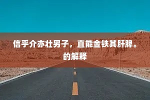 信乎介亦壮男子，直能金铁其肝脾。的解释