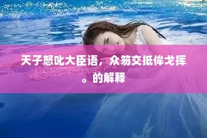 天子怒叱大臣语，众笏交抵侔戈挥。的解释
