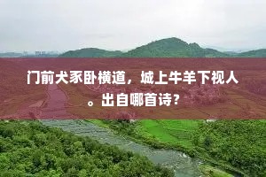 门前犬豕卧横道，城上牛羊下视人。出自哪首诗？