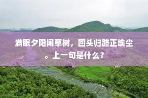 满眼夕阳闲草树，回头归路正埃尘。上一句是什么？