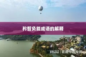 矜智负能成语的解释
