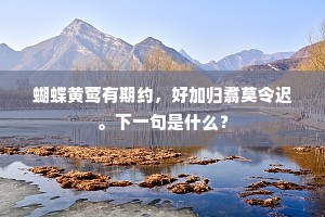 蝴蝶黄莺有期约，好加归翥莫令迟。下一句是什么？