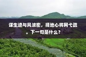 谋生迹与风波密，择地心将网弋疏。下一句是什么？