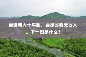 缀连卷大十牛腹，要尽寄我无寄人。下一句是什么？