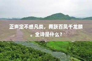 正声定不感凡类，舞跃百凤千龙麟。全诗是什么？