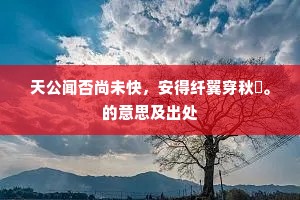 天公闻否尚未快，安得纤翼穿秋旻。的意思及出处