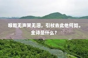 喉乾无声哭无泪，引杖去此他何如。全诗是什么？
