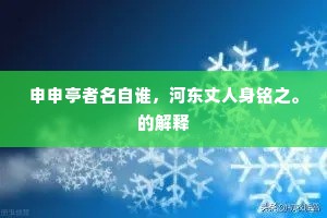申申亭者名自谁，河东丈人身铭之。的解释