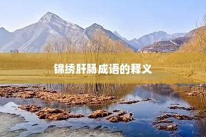 锦绣肝肠成语的释义