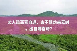 丈人疏高喜自适，去不限灼来无时。出自哪首诗？