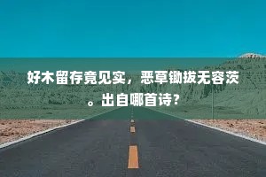 好木留存竟见实，恶草锄拔无容茨。出自哪首诗？