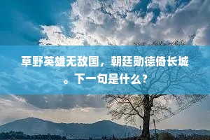 草野英雄无敌国，朝廷勋德倚长城。下一句是什么？