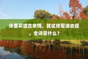 待垂买谊言余饵，就试终军请去缨。全诗是什么？
