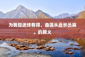 为我指迷终有得，曲蓬从此长丛麻。的释义