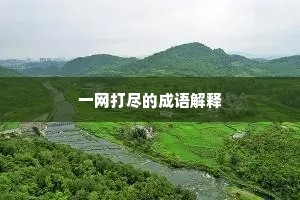 一网打尽的成语解释