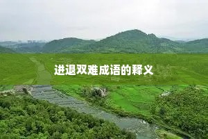 进退双难成语的释义