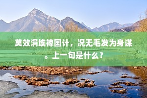 莫效涓埃裨国计，况无毛发为身谋。上一句是什么？