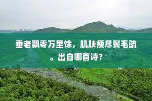 垂老飘零万里馀，肌肤瘦尽鬓毛疏。出自哪首诗？