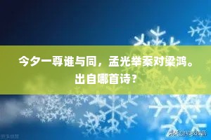今夕一尊谁与同，孟光举案对梁鸿。出自哪首诗？