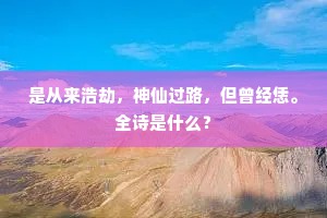 是从来浩劫，神仙过路，但曾经恁。全诗是什么？