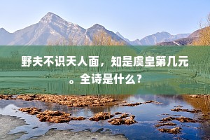 野夫不识天人面，知是虞皇第几元。全诗是什么？
