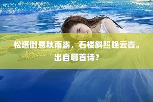 松塔倒悬秋雨露，石楼斜照晚云霞。出自哪首诗？