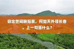 窃念世间酬短景，何如天外领长春。上一句是什么？