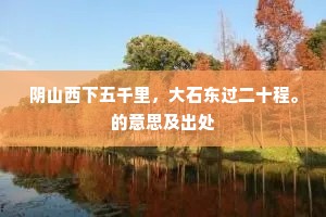 阴山西下五千里，大石东过二十程。的意思及出处