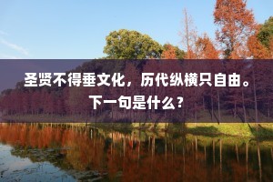 圣贤不得垂文化，历代纵横只自由。下一句是什么？
