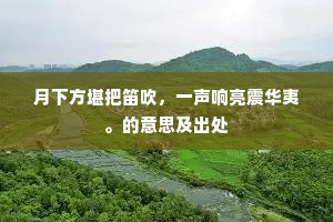 月下方堪把笛吹，一声响亮震华夷。的意思及出处