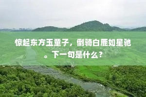 惊起东方玉童子，倒骑白鹿如星驰。下一句是什么？