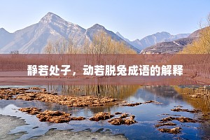 静若处子，动若脱兔成语的解释