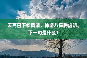 天高日下松风清，神游八极腾虚明。下一句是什么？