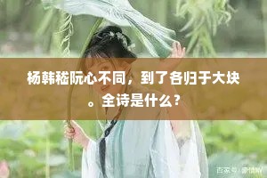 杨韩嵇阮心不同，到了各归于大块。全诗是什么？