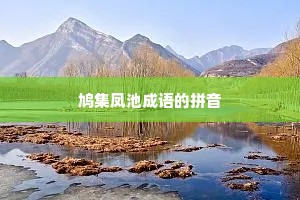 鸠集凤池成语的拼音