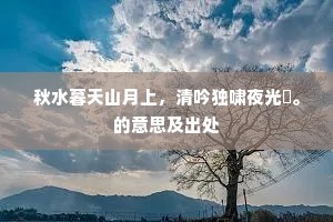 秋水暮天山月上，清吟独啸夜光毬。的意思及出处