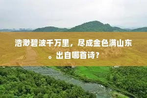 浩渺碧波千万里，尽成金色满山东。出自哪首诗？