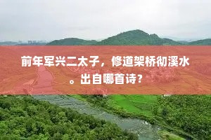 前年军兴二太子，修道架桥彻溪水。出自哪首诗？
