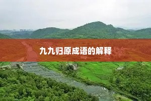九九归原成语的解释