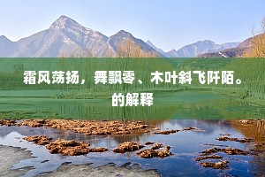 霜风荡扬，舞飘零、木叶斜飞阡陌。的解释