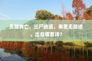 五贼奔亡，三尸逃遁，表里无踪迹。出自哪首诗？