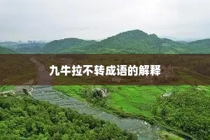 九牛拉不转成语的解释