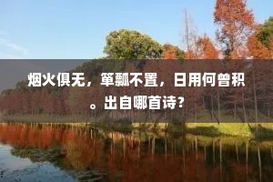烟火俱无，箪瓢不置，日用何曾积。出自哪首诗？