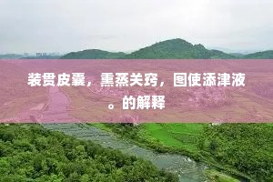 装贯皮囊，熏蒸关窍，图使添津液。的解释