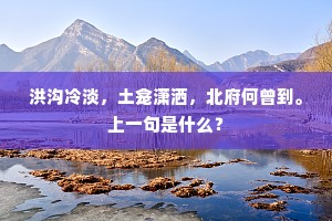 洪沟冷淡，土龛潇洒，北府何曾到。上一句是什么？