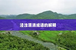 泾浊渭清成语的解释