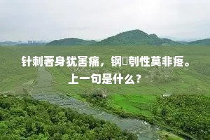 针刺著身犹害痛，钢铓刳性莫非疼。上一句是什么？