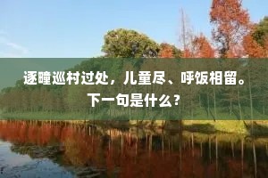 逐疃巡村过处，儿童尽、呼饭相留。下一句是什么？